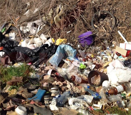 Prokurory proveryayut informaciyu o nesankcionirovannoj svalke