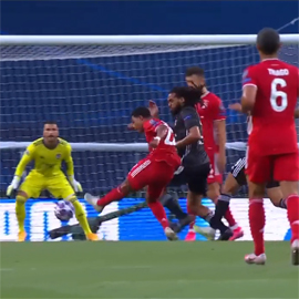 Bavariya proshla k PSZh cherez Lion