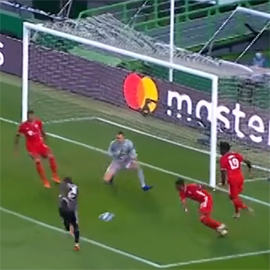 Bavariya proshla k PSZh cherez Lion3