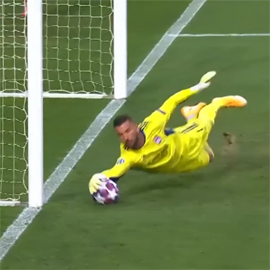 Bavariya proshla k PSZh cherez Lion5