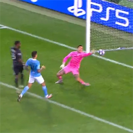 Lion proshel k Bavarii10