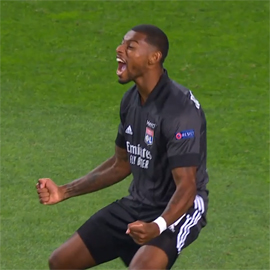 Lion proshel k Bavarii12