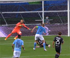 Lion proshel k Bavarii16