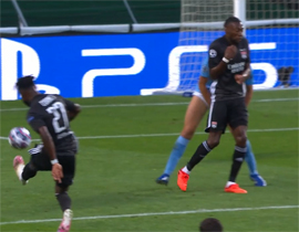 Lion proshel k Bavarii3