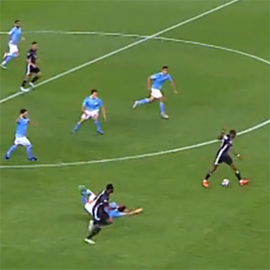 Lion proshel k Bavarii4