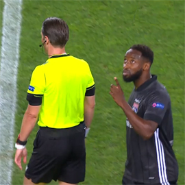 Lion proshel k Bavarii7