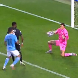 Lion proshel k Bavarii9