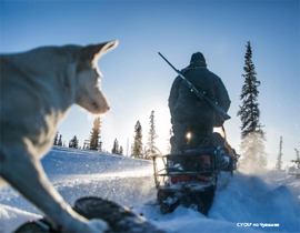 zimnyaya ohota