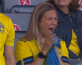 Orsato opredelil pobedu ukraincev nad shvedami6