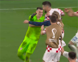 Vselenskaya radost pobedivshego livakovicha