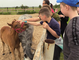 Skr chuvashii druzhit s podshefnymi i konyami2
