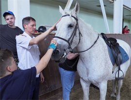 Skr chuvashii druzhit s podshefnymi i konyami6