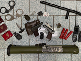 Nabor prestupnika po materialam UFSB